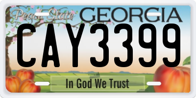 GA license plate CAY3399