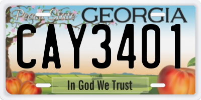 GA license plate CAY3401