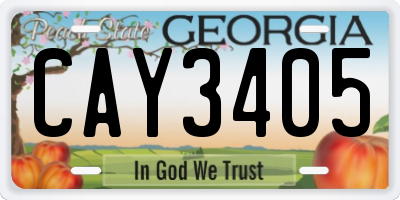 GA license plate CAY3405