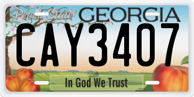 GA license plate CAY3407