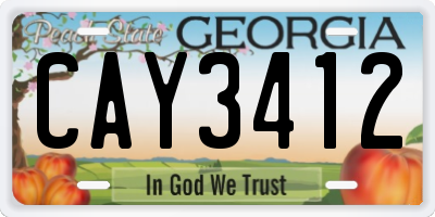 GA license plate CAY3412