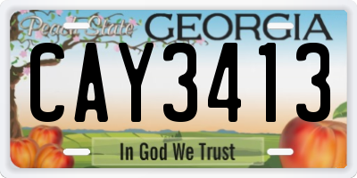 GA license plate CAY3413