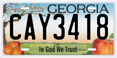 GA license plate CAY3418