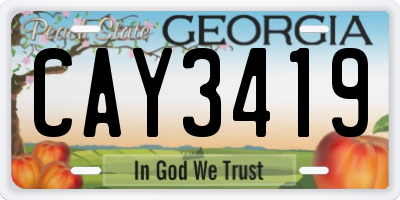 GA license plate CAY3419