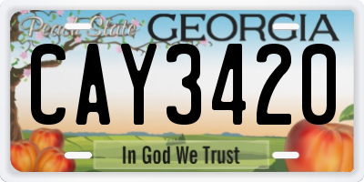 GA license plate CAY3420