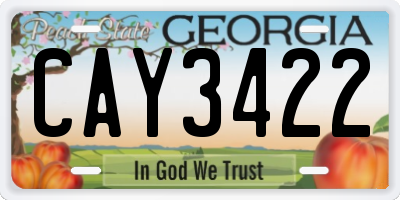 GA license plate CAY3422