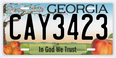 GA license plate CAY3423