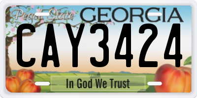 GA license plate CAY3424
