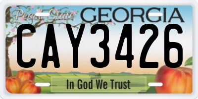 GA license plate CAY3426
