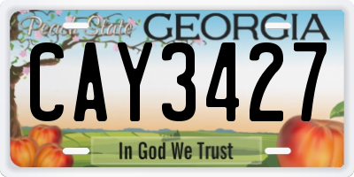 GA license plate CAY3427