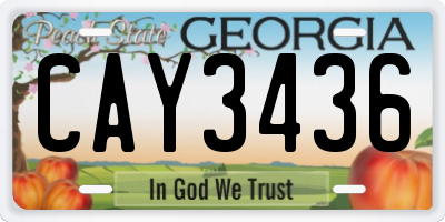GA license plate CAY3436