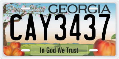 GA license plate CAY3437