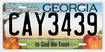 GA license plate CAY3439