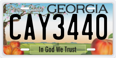 GA license plate CAY3440