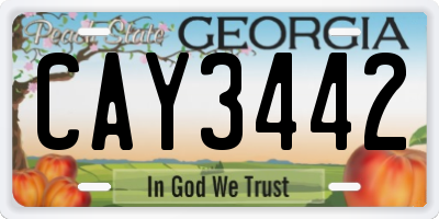 GA license plate CAY3442