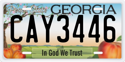 GA license plate CAY3446