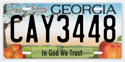 GA license plate CAY3448