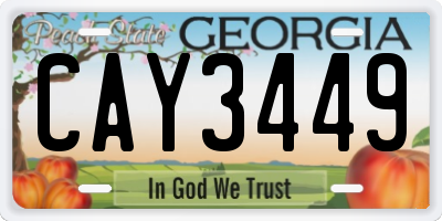 GA license plate CAY3449