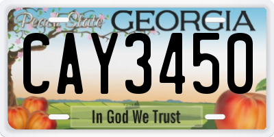 GA license plate CAY3450