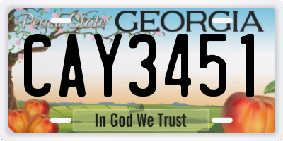 GA license plate CAY3451