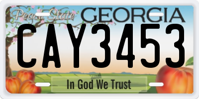 GA license plate CAY3453