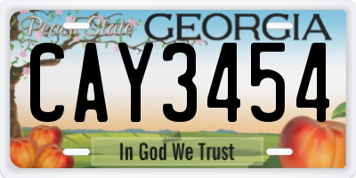 GA license plate CAY3454