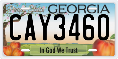 GA license plate CAY3460