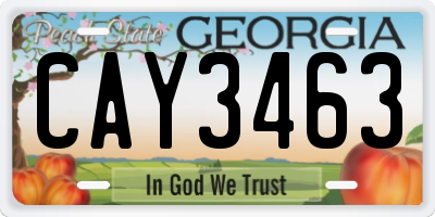 GA license plate CAY3463