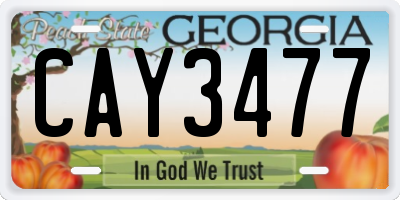 GA license plate CAY3477