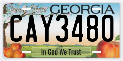GA license plate CAY3480