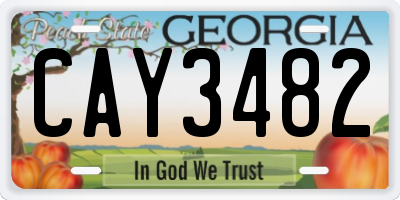 GA license plate CAY3482