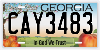 GA license plate CAY3483