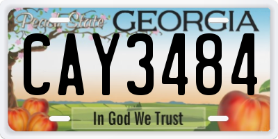 GA license plate CAY3484