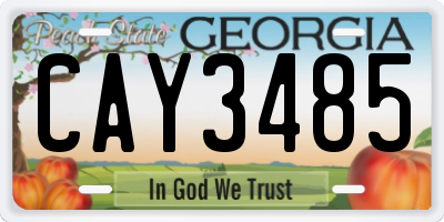 GA license plate CAY3485