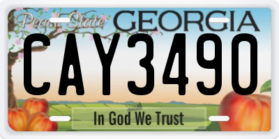 GA license plate CAY3490