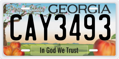 GA license plate CAY3493