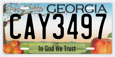 GA license plate CAY3497