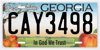 GA license plate CAY3498