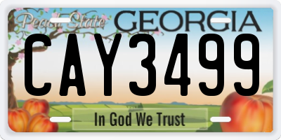 GA license plate CAY3499