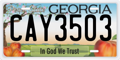 GA license plate CAY3503