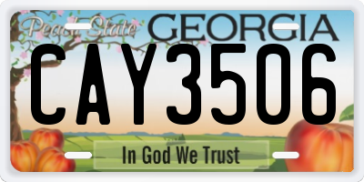 GA license plate CAY3506