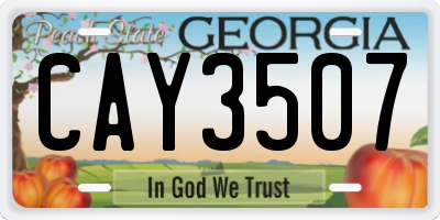 GA license plate CAY3507