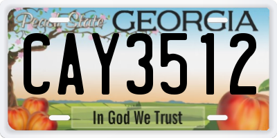 GA license plate CAY3512