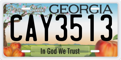 GA license plate CAY3513