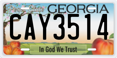 GA license plate CAY3514