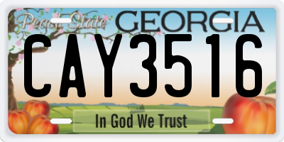 GA license plate CAY3516