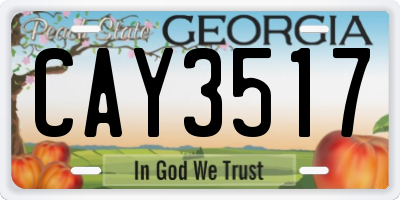GA license plate CAY3517