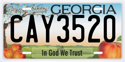 GA license plate CAY3520