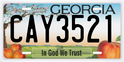 GA license plate CAY3521
