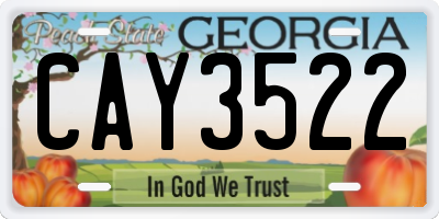 GA license plate CAY3522